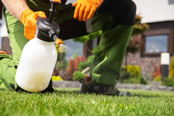 Best Affordable Pest Control Services  in Eastlake, OH
