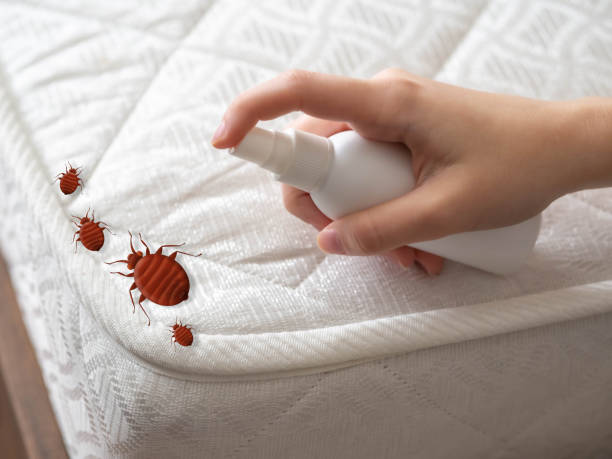 Best Bed Bug Extermination  in Eastlake, OH